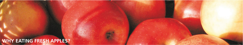 Fresh Apples